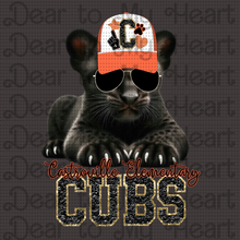 Load image into Gallery viewer, Medina Valley Panthers & Cubs