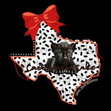 Load image into Gallery viewer, Medina Valley Panthers & Cubs
